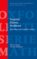 Singular Elliptic Problems: Bifurcation and Asymptotic Analysis