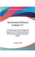 Doctrine Of Sacred Scripture V2: A Critical, Historical And Dogmatic Inquiry Into The Origin And Nature Of The Old And New Testaments (1883)