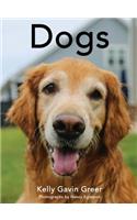 Dogs