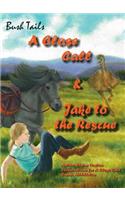 Bush Tails book 2
