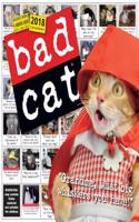 Bad Cat Wall Calendar 2018