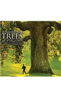 Remarkable Trees of Virginia