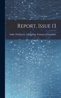 Report, Issue 13