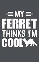 My Ferret Thinks I'm Cool