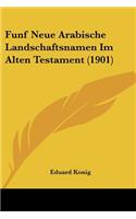 Funf Neue Arabische Landschaftsnamen Im Alten Testament (1901)