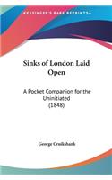 Sinks of London Laid Open: A Pocket Companion for the Uninitiated (1848)