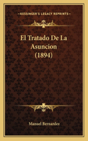 Tratado De La Asuncion (1894)