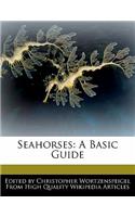 Seahorses: A Basic Guide