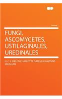 Fungi, Ascomycetes, Ustilaginales, Uredinales