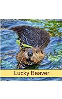 Lucky Beaver 2017: Rodents and Wild Animals (Calvendo Animals)