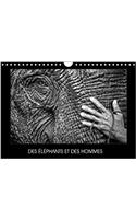 Des Elephants Et Des Hommes 2018