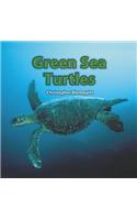 Green Sea Turtles