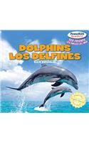 Dolphins / Los Delfines