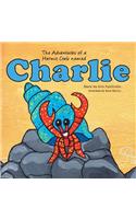 The Adventures Of A Hermit Crab Named Charlie