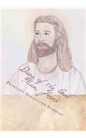 Diary of the God Man, Jesus