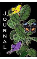 Journal