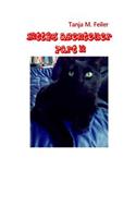 "Kittys Abenteuer" Part II: Kinderbuch