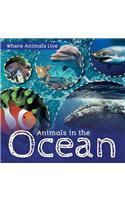 Animals in the Ocean