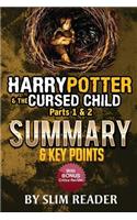 Harry Potter and the Cursed Child, Parts 1 & 2: Summary & Key Points with Bonus Critics Review