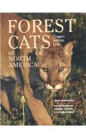 Forest Cats of North America