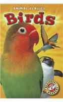 Birds: (Animal Classes)