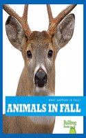 Animals in Fall: (What Happens in Fall?)