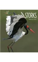 Storks