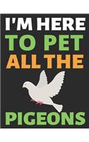 I'm Here To Pet All The Pigeons