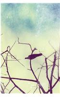 Bird on a Branch Journal: Blank Lined Notebook for Writing, Planning or Journaling