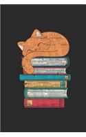 Cat And Books