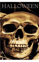 Halloween, Skull Notebook, Memory Book to Write or Draw , 6x9, 100 Beautiful Pages, Notes, Journal, Memory Book