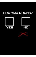 Are You Drunk?: Hangman Puzzles Mini Game Clever Kids 110 Lined Pages 6 X 9 In 15.24 X 22.86 Cm Single Player Funny Great Gift