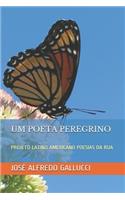 Um Poeta Peregrino: Projeto Latino Americano Poesias Da Rua