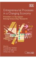 Entrepreneurial Processes in a Changing Economy