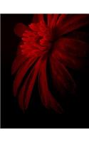 Flower Notebook: 8.5 X 11 202 College Ruled Pages