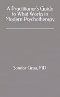 A practitioner's guide to what works in modern psychotherapy.