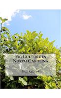 Fig Culture in North Carolina