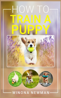 How To Train A Puppy