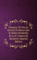 Proyectos De Una Lei General De Bancos Que Se Hallan Pendientes En La H. Camara De Senadores (Spanish Edition)