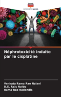 Néphrotoxicité induite par le cisplatine
