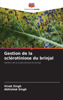 Gestion de la sclérotiniose du brinjal