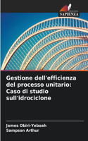 Gestione dell'efficienza del processo unitario