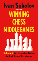 Winning Chess Middlegames