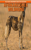 Afrikanischer Wildhund