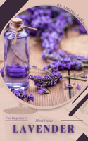 Lavender: Plant Guide