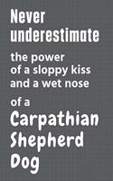 Never underestimate the power of a sloppy kiss and a wet nose of a Carpathian Shepherd Dog: For Carpathian Shepherd Dog Fans