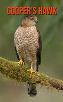 Cooper's Hawk