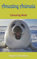 Amazing Animals: Colouring Book
