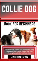 Collie Dog Book for Beginners