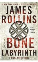 The Bone Labyrinth: A Sigma Force Novel(10 Sigma Force Novels)